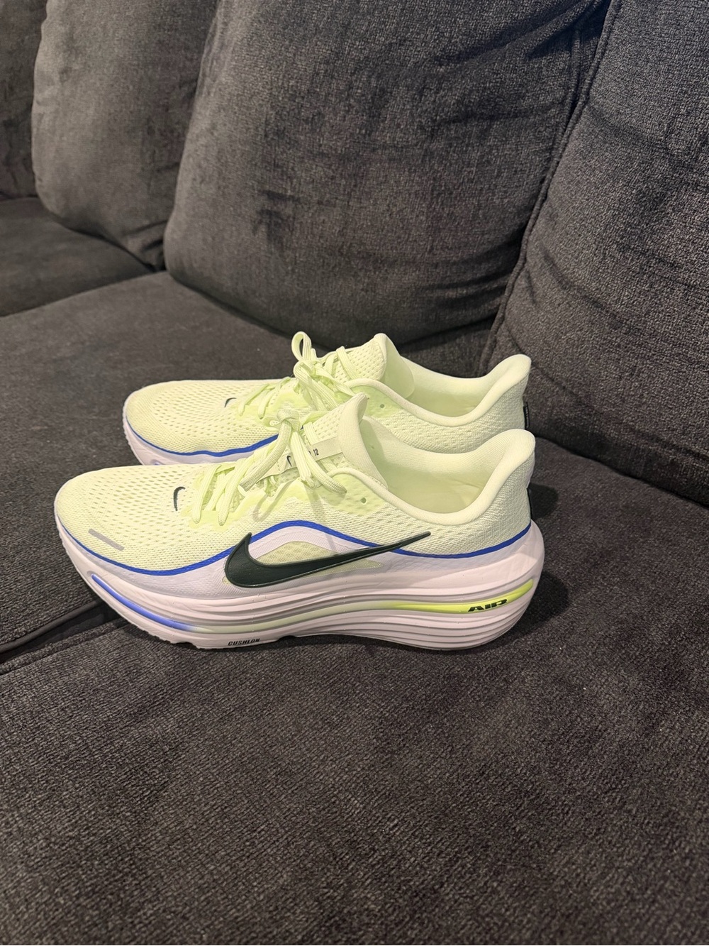 Nike Winflo 12